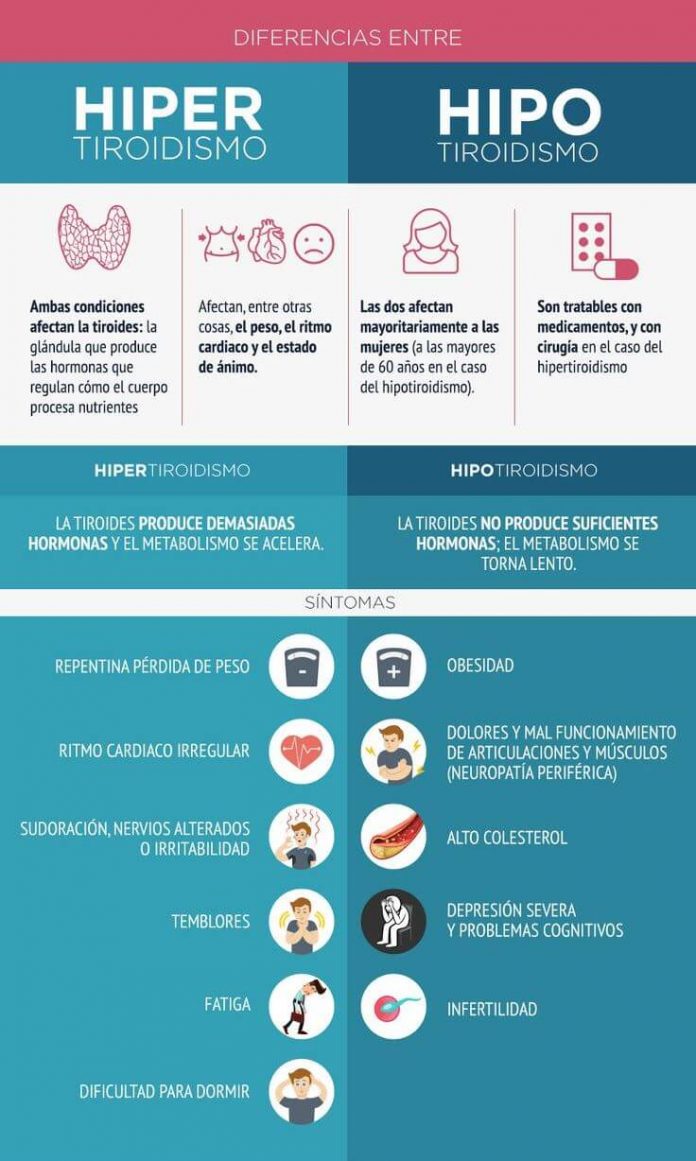 Qué es el hipertiroidismo e hipotiroidismo y sus diferencias