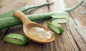 aloe vera quemadura piel sol