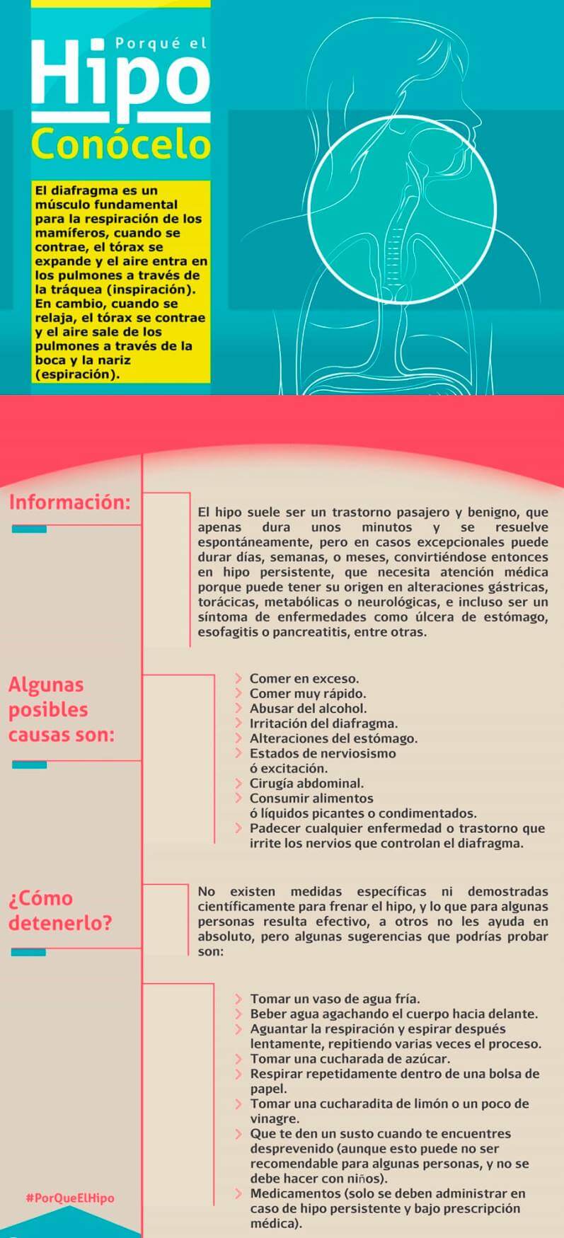 información sobre el hipo