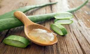 aloe-vera-remedio-natural-hemorroides-almorranas