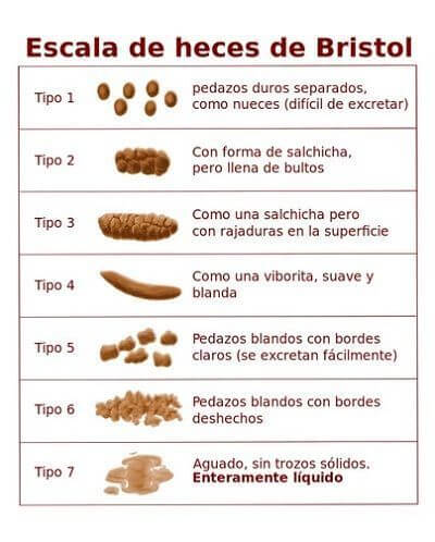 gráfico de heces de Bristol