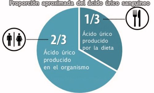 Proporción de ácido úrico en sangre