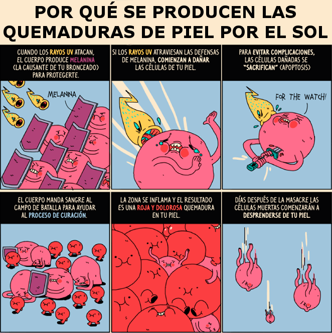 por qué se quema la piel con el sol