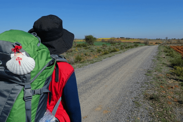 organizar camino de santiago