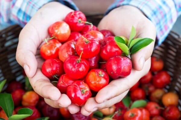 Acerola para la estimulación del colágeno