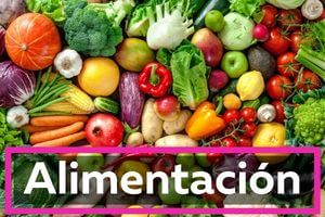 CurioSfera Alimentación