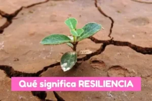 qué significa resiliencia